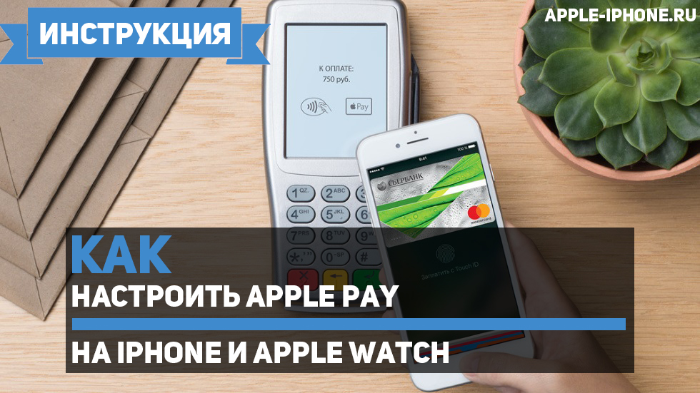 Состояние системы apple pay на айфоне где находится