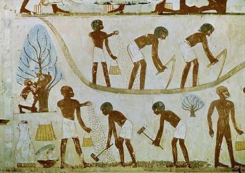 сбор налогов в древнем египте