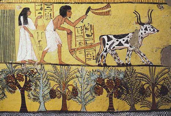 значение слова налог в древнем египте