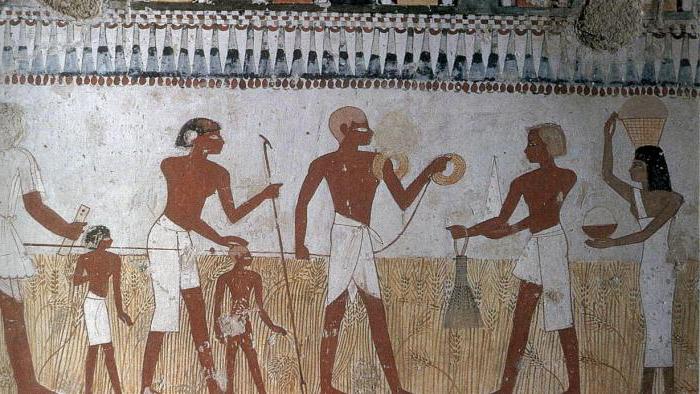 сборщик налогов в древнем египте