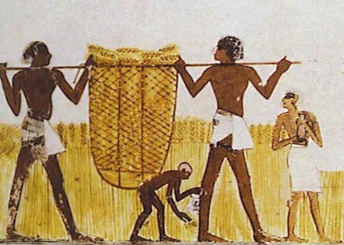 налог в древнем египте определение